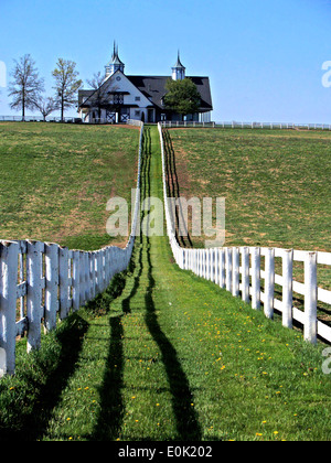 Weiße Zäune führen in eine cupolaed Pferdestall, Lexington, Kentucky Stockfoto