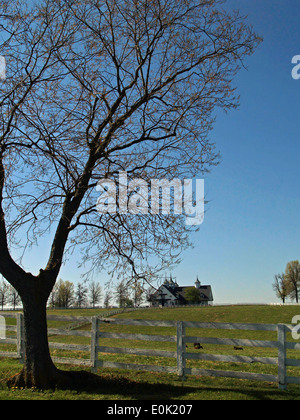 Ein Pferdestall und Kuppeln auf den Bluegrass Country Autotour, Lexington, Kentucky Stockfoto