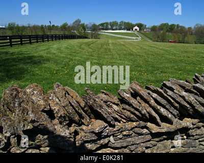 Steinzäune und Plank Zäune auf einem Vollblut Farm außerhalb von Lexington, Kentucky Stockfoto