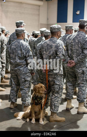 Rosco, einer posttraumatischen Störung Begleiter Tier steht hinter seinem Besitzer Sgt. 1. Klasse Jason Syriac, eine militärische polic Stockfoto