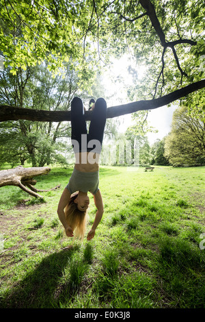 Blonde Dame tragen schwarze Leggings und ein grauer schneiden Sie kopfüber an einem Ast eines Baumes in Hampstead Heide. Stockfoto