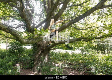 Blonde Dame tragen schwarze Leggings und ein graues Zuschneiden Top Yoga zu praktizieren in einem Baum in Hampstead Heide. Stockfoto