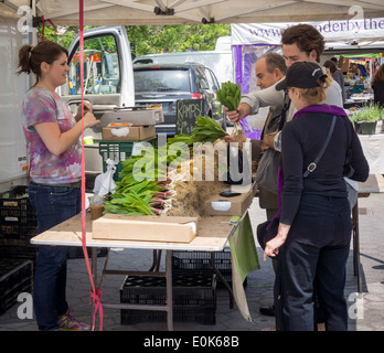 Die gesuchten Verwandte der Zwiebel, Rampen, sind in der Union Square Greenmarket in New York zu sehen Stockfoto