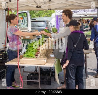 Die gesuchten Verwandte der Zwiebel, Rampen, sind in der Union Square Greenmarket in New York zu sehen Stockfoto