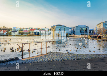 Reykjavik-Teich, Rathaus im Hintergrund, Reykjavik, Island Stockfoto