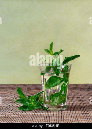 Frischen heißen Pfefferminztee Stockfoto