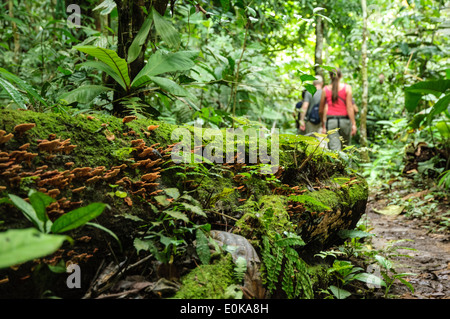 Tourist in der Amazonas-Regenwald Stockfoto