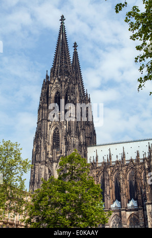 Kölner Dom Stockfoto