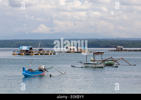 Boote und schwimmenden Hütten (verwendet, um Meeresfrüchte wachsen) – Landschaft der Ekas Bucht, gesehen aus Region der Ekas, Lombok, Indonesien Stockfoto