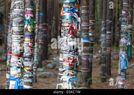 Bäume mit bunten Bändern im Bereich von Arschan, Tunkinsky Bezirk, Burjatien, Russland Stockfoto