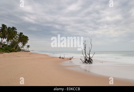 Verschwommene Seelandschaft auf tropische Wüste Strand während der Monsunzeit in der Abenddämmerung. Langzeitbelichtung. Stockfoto