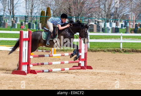 Bucht Pferd Pony mit Teenager bei lokalen Jumper Show über Show Zaun springen. Stockfoto