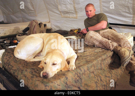 Lance Cpl. Cody Whitis, ein Marine Corps Hundeführer, und ein Arlington, Texas, gebürtig, Und sein militärischer Arbeitshund, Gracie, ist die Abteilung, mit den afghanischen Nationalen Sicherheitskräften und der Regierung der Islamischen Republik Afghanistan zusammenzuarbeiten, um Aufstandsbekämpfungsoperationen durchzuführen, um das afghanische Volk zu sichern, aufständische Kräfte zu besiegen, Und ermöglichen es ANSF, Sicherheitsverantwortung in seinem Betriebsbereich zu übernehmen, um die Ausweitung von Stabilität, Entwicklung und legitimer Governance zu unterstützen. Stockfoto