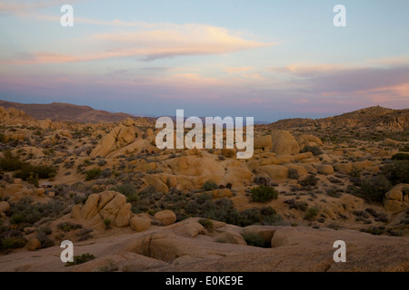 Ein Sonnenuntergang Joshua Tree National Park in Süd-Kalifornien, USA Stockfoto