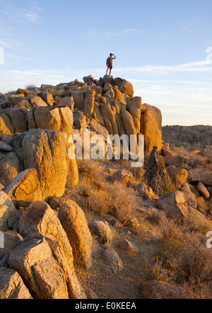 Ein Wanderer steht an der Spitze eines Haufens von Findlingen im Joshua Tree National Park in Süd-Kalifornien, USA Stockfoto