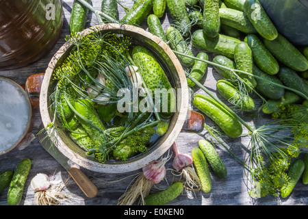 Beizen Gurken auf dem Lande Stockfoto