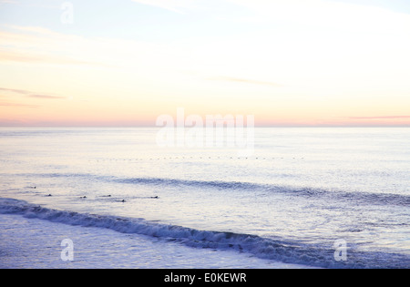 Surfer paddeln Sie eine Welle als eine Linie von oben Pelikane fliegen zu fangen, sind alle Silhouette gegen den Sonnenuntergang am Horizont. Stockfoto