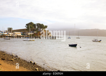 Segelboote auf Tomales Bay in Marshall, Kalifornien verankert. Stockfoto