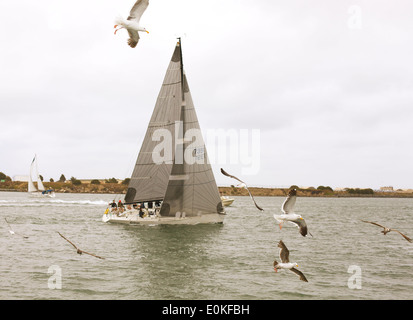 Eine Gruppe von Menschen, die auf kabbeliges Wasser am Pazifischen Ozean vor der Küste von Kalifornien zu segeln. Stockfoto