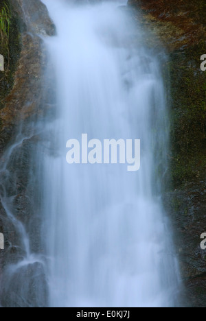Nebenfluss Wasserfall, Elk Wild and Scenic River, Siskiyou National Forest, Oregon Stockfoto