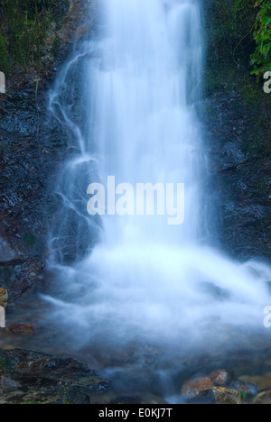 Nebenfluss Wasserfall, Elk Wild and Scenic River, Siskiyou National Forest, Oregon Stockfoto