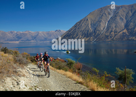 Radfahrer auf Alpen 2 Ozean cycle Trail, Lake Ohau und Ben Ohau, Mackenzie Country, Canterbury, Südinsel, Neuseeland Stockfoto