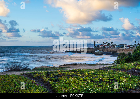 Meer und Küste Blick vom Sunset Cliffs Natural Park. San Diego, California, Vereinigte Staaten von Amerika. Stockfoto