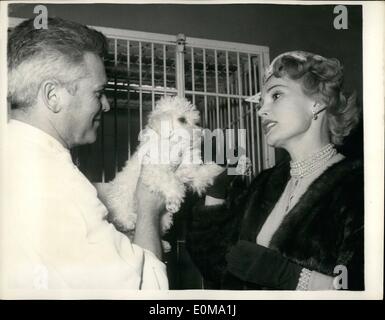 5. Mai 1954 - kauft Zsa Zsa Gabor einen Hund... Bei ihrem jüngsten Besuch in Paris - beliebte Screen, die Sterne Zsa Zsa Gabor einige Stunden im Zwinger eines Züchters -, verbrachte als sie beschloss, sich einen Hund kaufen... Keystone-Fotoshows: Zsa Zsa wählt einen der Welpen - aber sie ist noch nicht sicher, welche eine sie haben wird. Stockfoto