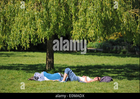 Brighton, Sussex UK dürfte 16. Mai 2014 - Zeit für ein Sonnenbad in Brighton Pavilion Gardens in der Sonne mit Temperaturen um 23 ° c erreichen heute das gute Wetter erwartet zum letzten über das Wochenende Foto von Simon Dack/Alamy Live News Stockfoto