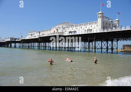 Brighton Sussex UK 16. Mai 2014 - am frühen Morgen Schwimmer zum Meer am Pier in Brighton heute Morgen nehmen, wie heißes Wetter erwartet wurde, um die Südküste ganze Wochenende Foto von Simon Dack/Alamy Live News schlagen Stockfoto