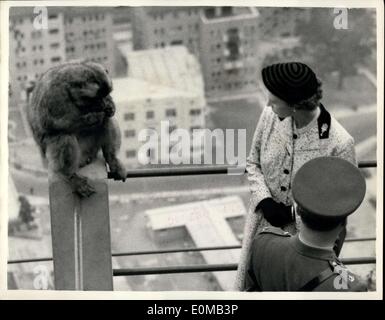 11. Mai 1954 - Königsfamilie an Gibraltar. Besuch der Berberaffen. Foto zeigt HM The Queen, mit '' Max'' - der Führer gesehen Stockfoto