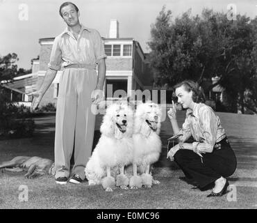 Schauspieler David Niven in seinem Hinterhof mit Frau und Hunde Stockfoto