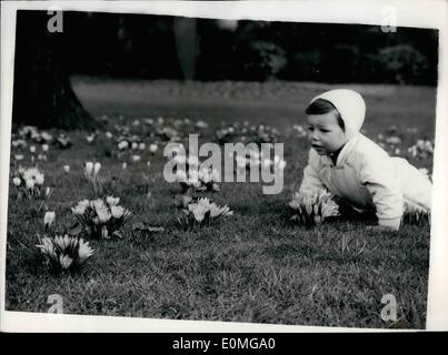 18. März 1955 - ist 18.03.55 Frühling in der Luft. Jugendliche und die Krokusse. Keystone Bild zeigt: zwei Jahre alte Simon Spencer von Marble Arch macht eine glückliche Studie als er versucht, bekommen eine Ã ¢ â '¬Ëœclose-Up"von der Krokusse gesteckt in einen Auftritt im Hyde Park zu zeigen, dass der Frühling ist wirklich und wahrhaftig auf dem Weg. Stockfoto