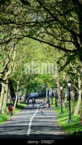 Die Ebene, die vor kurzem neu in Brighton UK Stockfoto
