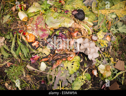 Obst, Blumen und Pflanzen. Gartenabfälle auf dem Kompost Stockfoto