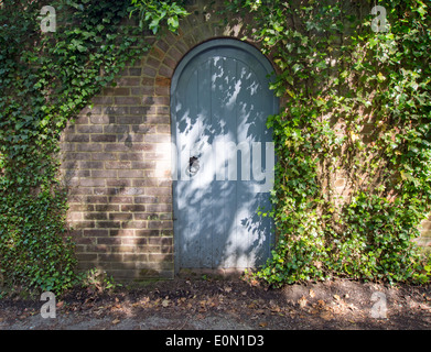 Hölzernes Tor in einer Mauer mit Efeu bedeckt Stockfoto