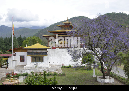 Eine Teilansicht der Punakha Dzong, auch bekannt als Pungtang Dechen Photrang Dzong, Punakha, Bhutan Stockfoto