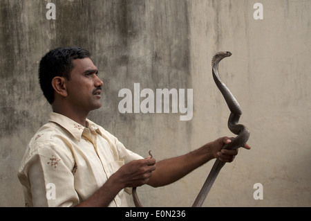 Ein Mann mit einer Kobra in der Hand im Rahmen der Naga Panchami. Maharashtra, Indien. Stockfoto