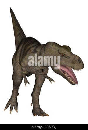 Digitale 3D Rendern eines Tyrannosaurus Rex isoliert auf weißem Hintergrund Stockfoto