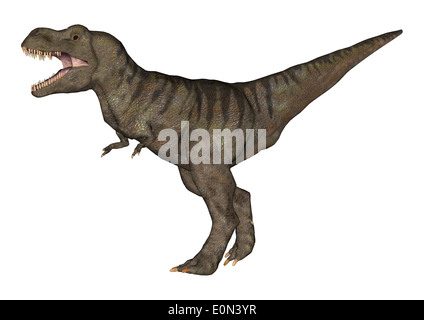 Digitale 3D Rendern eines Tyrannosaurus Rex isoliert auf weißem Hintergrund Stockfoto