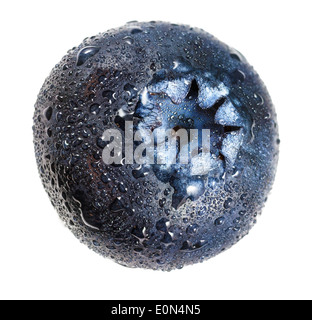 Heidelbeere mit Wasser fällt in Nahaufnahme. Stockfoto