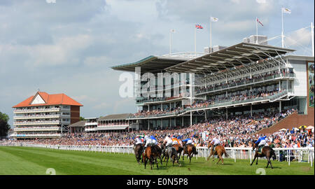 YORK RACECOURSE & KNAVESMIRE DANTE FESTIVAL YORK RACECOURS YORK RACECOURSE YORK ENGLAND 16. Mai 2014 Stockfoto