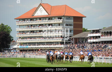 YORK RACECOURSE & KNAVESMIRE DANTE FESTIVAL YORK RACECOURS YORK RACECOURSE YORK ENGLAND 16. Mai 2014 Stockfoto