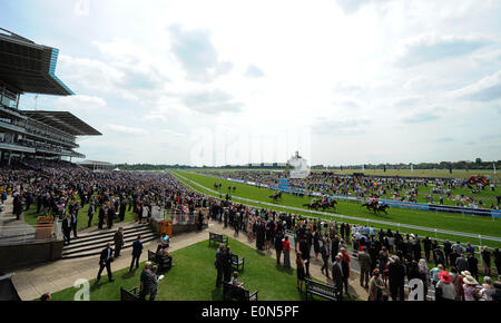 YORK RACECOURSE & KNAVESMIRE DANTE FESTIVAL YORK RACECOURS YORK RACECOURSE YORK ENGLAND 16. Mai 2014 Stockfoto