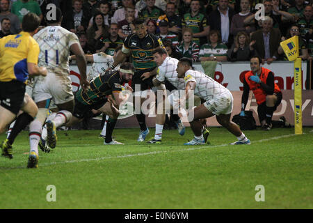 Northampton, UK. 16. Mai 2014. SaintsTom Wood punktet die gewinnende versuchen in der letzten Minute des Spiels Aviva Premiership Play Off zwischen Northampton Saints und Leicester Tigers in Franklins Gardens. Bildnachweis: Aktion Plus Sport/Alamy Live-Nachrichten Stockfoto