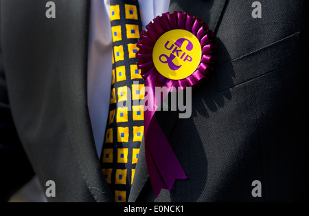 Ein Kandidat der UK Independence Party trägt eine UKIP Rosette im Wahlkampf in Swansea, Wales. Stockfoto