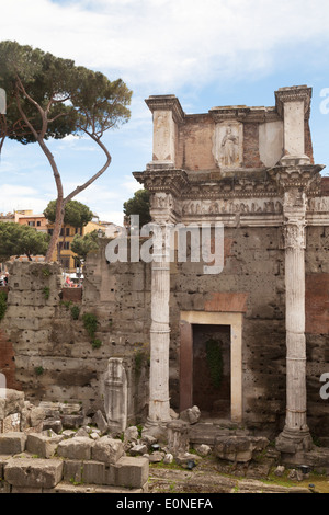 Das Forum von Nerva oder Minerva aus 97 n. Chr. Teil des The Forum in Rom, Italien Europa Stockfoto