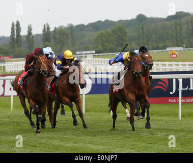 Newbury, Großbritannien. 17. Mai 2014. Cannock Chase unter Ryan Moore gewinnt die Betfred London Gold Cup 2014 JLT Lockinge Stakes tagsüber von Newbury. Bildnachweis: Action Plus Sport Bilder/Alamy Live News Stockfoto