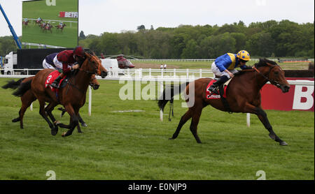 Newbury, Großbritannien. 17. Mai 2014. Cannock Chase unter Ryan Moore gewinnt die Betfred London Gold Cup 2014 JLT Lockinge Stakes tagsüber von Newbury. Bildnachweis: Action Plus Sport Bilder/Alamy Live News Stockfoto
