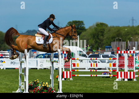 Springreiten in 2014 Balmoral zeigen, das Labyrinth, Lisburn, Nordirland. Stockfoto